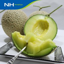 [곡성농협] 국내산 메론 3.5kg 외, 곡성농협 메론 5kg(3-5수), 1박스