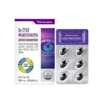 광동생활건강 눈건강 루테인 지아잔틴 눈에 좋은 영양제, 12박스(12개월분), 12개, 30정