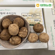 [평창 대화농협] 강원도 햇 감자 10kg