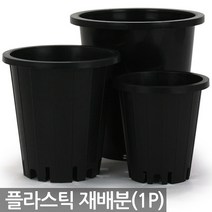 플라스틱 재배분(1P) - 화분 플분 양란 녹차 난화분 란화분 난재배분 양란화분 난재배 녹차재배분 긴화분, 01_청운_재배분(4호)