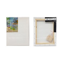 피닉스 수채캔버스 10호 F, P