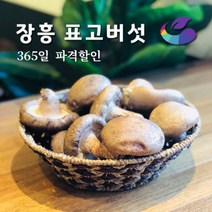 (못난이 파지 파치 등외 장흥표고) 장흥 생표고버섯 파지, 1박스, 2kg