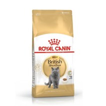 후랑이샵 로얄캐닌 브리티시 숏헤어 고양이 사료 4kg UNP0189 sh5416*393979308BW, 용량
