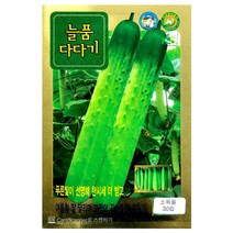 다다기오이씨앗 30알 여름오이 백침계 다디기 씨앗