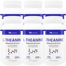 [미국빠른직구] 마이라이프 내추럴스 L-테아닌 250mg 120정 6병