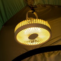 브로브 타프팬 실링팬 겸용 선풍기, BWF-100, 혼합색상