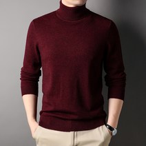 ONEPICK 남성 봄가을 중년 순모 투 터틀넥 스웨터 솔리드 캐주얼 니트 얇은