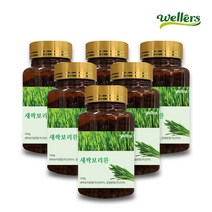웰러스 새싹보리환 100g / 100% 안심 국내산 새싹보리분말 금속이물 불검출, 100g x 6병