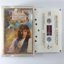 (중고 카세트 테이프) DAVID ARKENSTONE. IN THE WAKE OF THE WIND