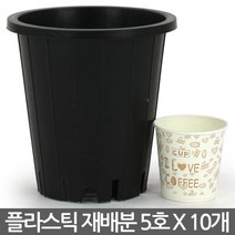 플라스틱 화분 양란 재배분 4호(10개) - 플분 양란 녹차 난화분 란화분 난재배분 양란화분 난재배 녹차재배분 긴화분, 02_청운_재배분(5호) X 10개