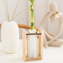 우든웨어초록업사이클링-마시는요거트병활용, 개운죽20cm-10p