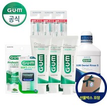 GUM 검 프리미엄 치약 칫솔 선물세트2, 단품