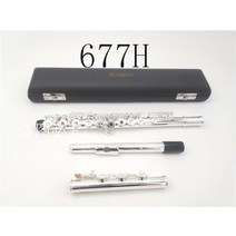 플룻 팬플룻 플루트 관악기 플루트 전문 백동 오프닝 키 홀 케이스 및 액세서리가있는, 17홀, 17홀