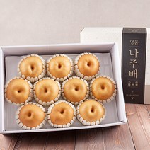산정마을 나주배 선물용 가정용 선물세트 흡집배 못난이 배 5kg 7.5kg 15kg, 나주배 가정용 15kg(16-20과)
