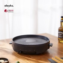 olayks 가정용 미니 전기 베이킹 트레이