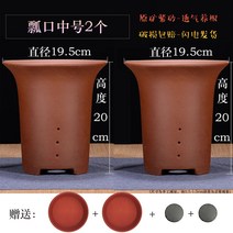 비자란 화분 라지 사이즈 군자란분 발코니 책상 도자기난분 녹식대 트레이트 화분 토기화분 나무화분 실내화분 항아리화분 화분종류 이쁜화분 세라믹화분, 옵션02, 공장 직거래 파손 배상금