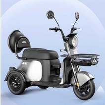 전기 미니 삼토바이 세발 삼륜 오토바이 가정용 48v, 48V F3-600W 모터 20ah /택배 (30km)