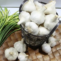 마늘 통마늘 2kg 3kg 남해마늘, 2kg 특, 1개