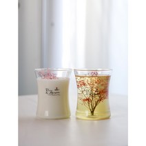 천연소이 디자인 미니안개 캔들, 화이트머스크(300g)