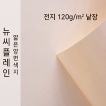 뉴씨플레인 종이문화 얇은 양면색지 120g 전지 낱장 1매 No.08 연분홍색, 1장
