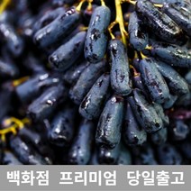 [특등급선별] 블랙사파이어 1kg 가지포도 크림슨 샤인머스켓 청포도 샤인머스캣 수입포도 김천샤인머스켓 포도가격 씨없는포도 거봉포도 씨없는청포도 애플포도 코튼캔디포도 캠벨포도 적포도, 1개