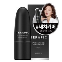 테라픽 헤어 리-터치 커버스틱 8g, 블랙, 1개