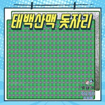 캠핑 매트 피크닉매트 돗자리 야외용 방수, 그랜드태백산맥 돗자리