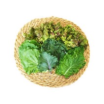 [오창농협] 친환경 쌈채소 200g x 2봉, 상세 설명 참조