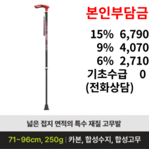 NS 지팡이 복지용구 어르신 노인, 15%, 1개