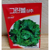 안산 플라워마트 바질 고수 비트 그린볼 청로메인 적로메인 청오크 적오크 당귀씨앗, 그린볼상추