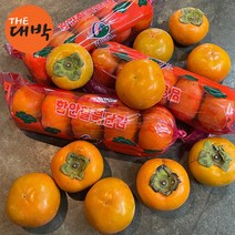 창원 진영 함안 단감 10kg 햇단감, 1박스, 단감(대과/50과 내외) 10kg