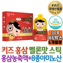 우리아이 종합영양제 맛있는 홍삼액기스 멜론맛 스틱 진세노사이드 건강한간식 비타민B 로이신 노인영양제 80대 팔순 할아버지 추천 시어머니 스님 효능 고시생 고희연 여자친구 집안선물