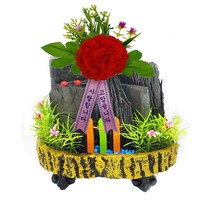 한반도농원 C3. 소나무타원1호(금색) 카네이션 숯분재 생일선물 답례품 체험학습용, 1개
