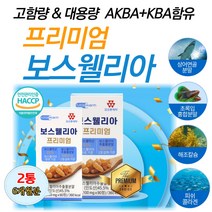 대용량 프리미엄 보스웰리아 추출 물 관절 팔팔 식품 순수 식이 유황 나무 보스웰릭산 50대 60대 중년 부모님 무릅 연골 건강 관리 영양 보조 제 고함량 보수웰리아 원물 분말 정