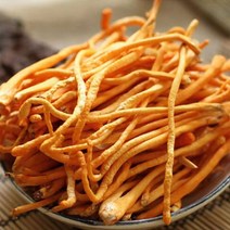 동충하초 피로회복 건강증진, 500gX3