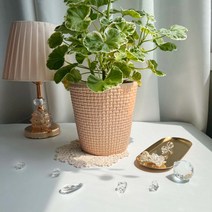 ENVIE CASA 삼각바구니토분, 피치 21 cm, 1개
