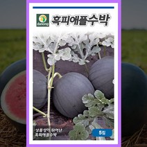 흑피 애플 수박씨 5립 미니 수박 씨앗 종자 파종 재배