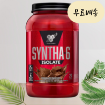 신타6 오리지날 아이솔레이트 프로틴 파우더 powder 초콜릿 밀크쉐이크 2.01lb 단백질 보충제 BCAA 아미노산 BSN [아이솔레이트] 바닐라 1.17kg, 1개