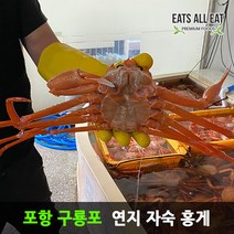 이츠올릿 포항 구룡포 연지 자숙 홍게 3kg 속초 포항 홍개 주문진 영덕 박달 대게, 박달급_4kg 10미 (수율 80%내외)
