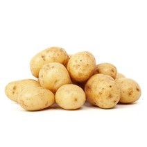 [한가락몰] 감자 20kg / 대 / 식자재용 대용량 벌크