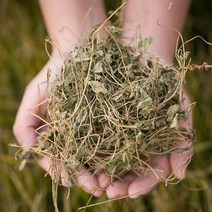 국산 경북영천 뱀딸기풀(사매) 300g 사매초 차 약초 한약재 효능, 12TW_국)뱀딸기풀300g