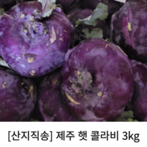 국내산 제주 햇 콜라비 최상 3kg 5kg 10kg 15kg, 1개
