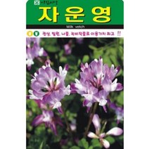 녹비작물 자운영 씨앗(10000립)(A0746)