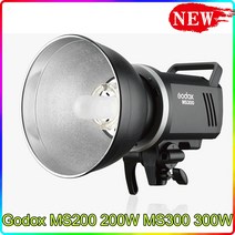 Godox MS200 200W MS300 300W 내장 2.4G 무선 수신기 경량 소형, 01 MS200, 02 220V