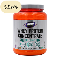 오라마켓 나우푸드(NOW) 스포츠 웨이 프로틴 컨센트레이트 파우더 무맛 680g 분리유청 BCAA 단백질, 1개
