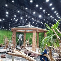 가드닝 베란다텃밭 생장 다육이키우는법 스탠드 취미키트 새싹삼 스텐드 LED 식물등 집에서할수있는취미 플랜테리어 식물, 55w 올스펙트럼 화이트 박스