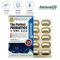 비피더스균 임산부 더퍼펙트 유산균 포스트바이오틱스 신바이오틱스 프롤린 60캡슐