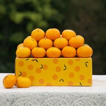 제주감귤, 제주감귤 10kg(2S), 1box