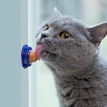 고양이 마약 빨판 캔디 반려묘 용품 사탕 간식, 고양이빨판블루 SE02012