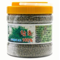 부안 함초 환 가루 알갱이 분말 소금 미네랄 보고 퉁퉁마디, 함초환500g-1개